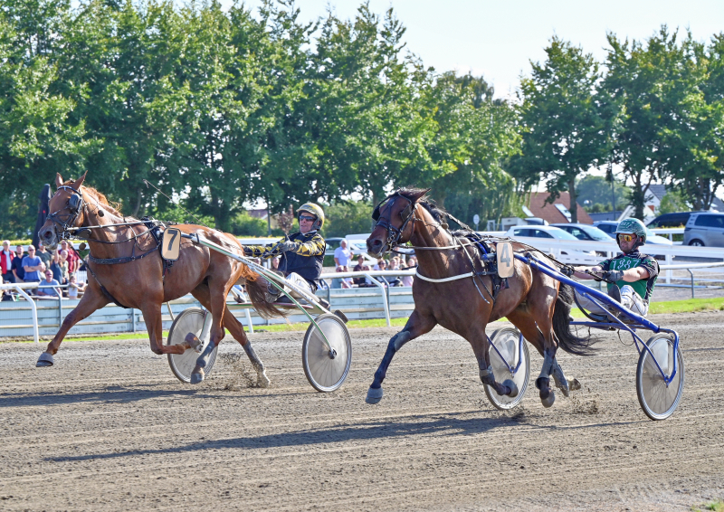 KEEP THE MAGIC DSC 3796