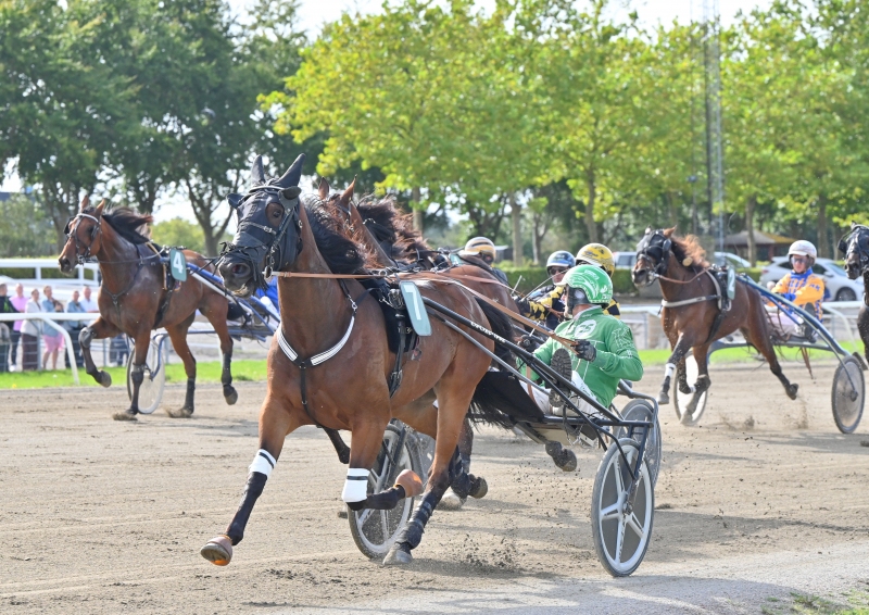 KEW GARDENS DSC 8374