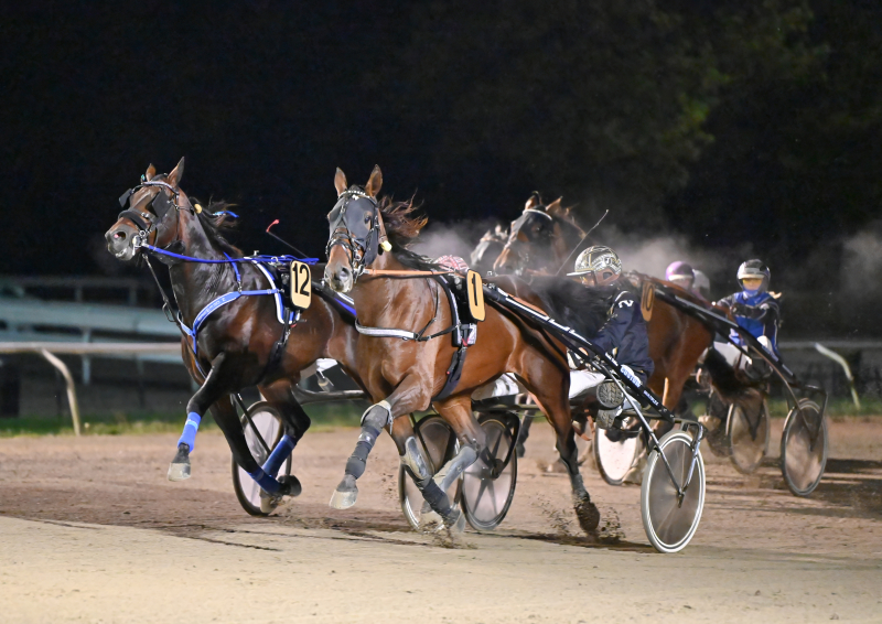 KICK WINNER DSC 2088