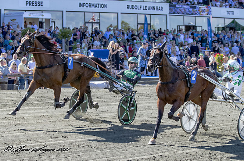 KINGSTON SOTTO S2 8655