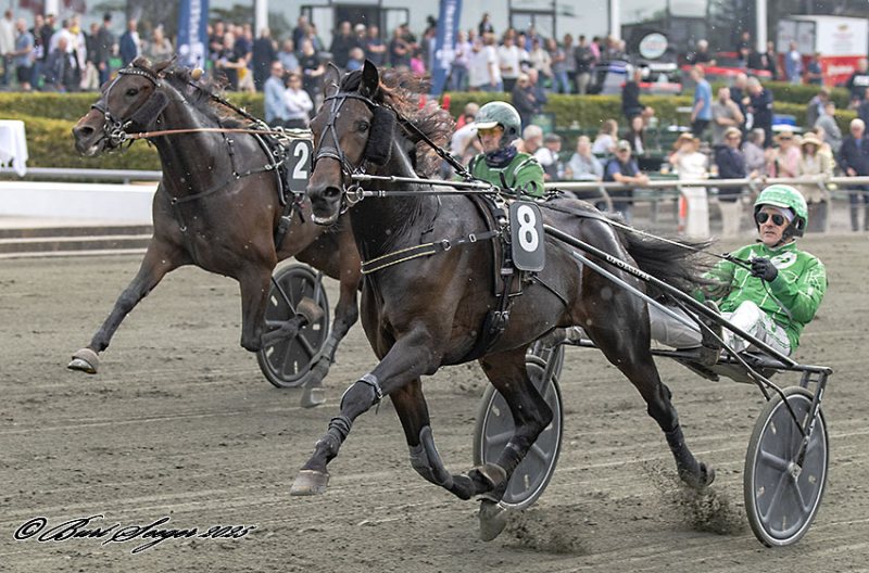 Kort nyt KINGSTON_WEST_S2_7952