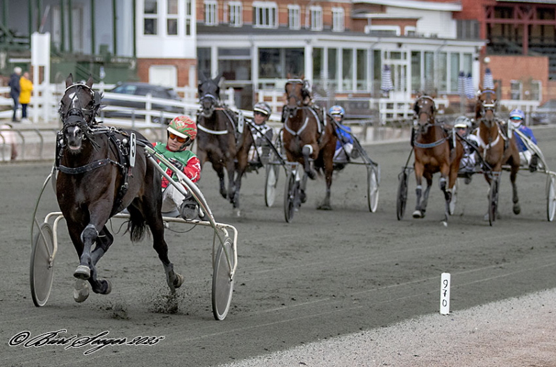 Kalmar - Sådan starter danskerne KING_DARLING_S2_0637-1
