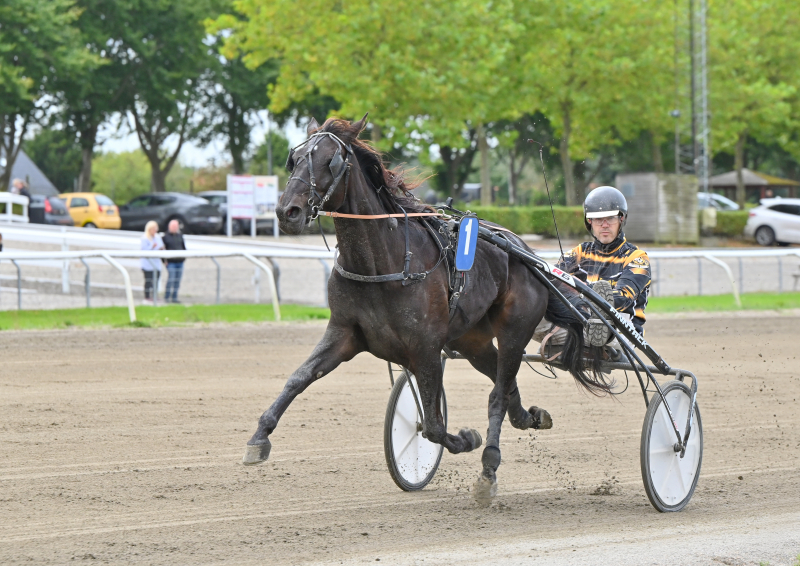 KITTI NARDOS DSC 8164