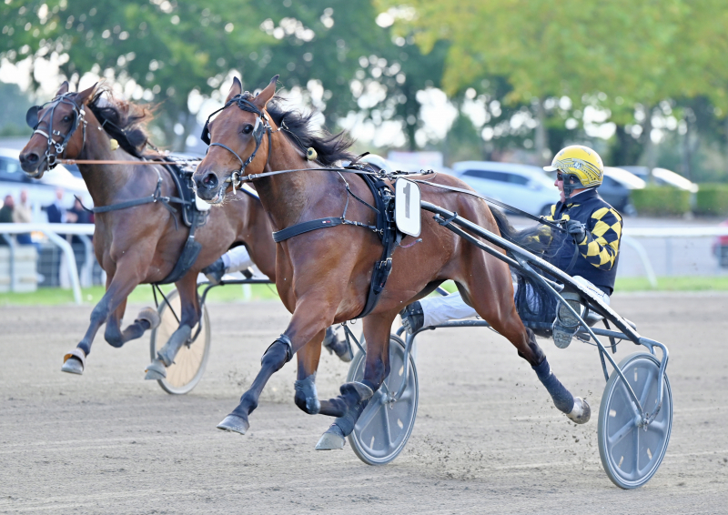 KNOW YOUR SHADOW DSC 9214