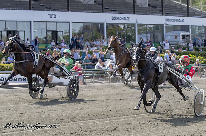 KOHKAHYCUMEST S2 5616