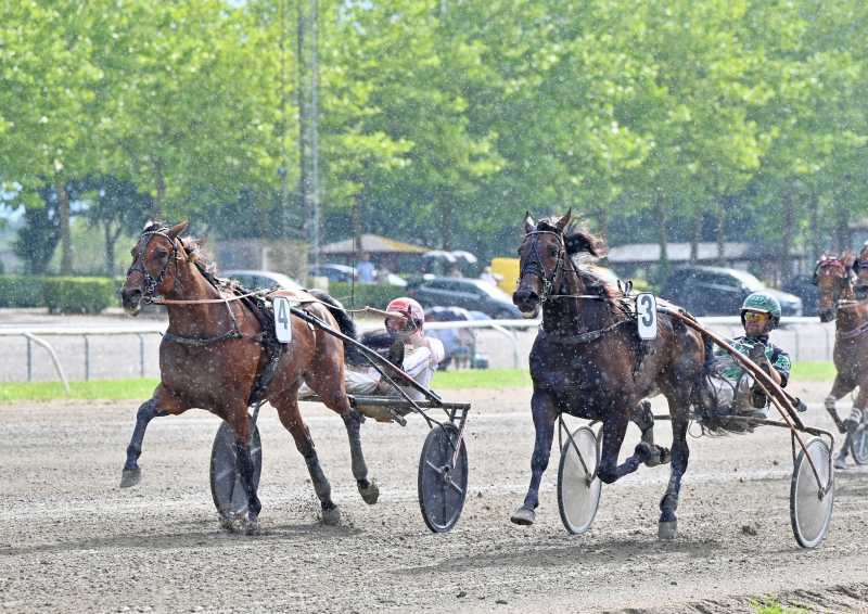 KOMS LANGBORG DSC 1154