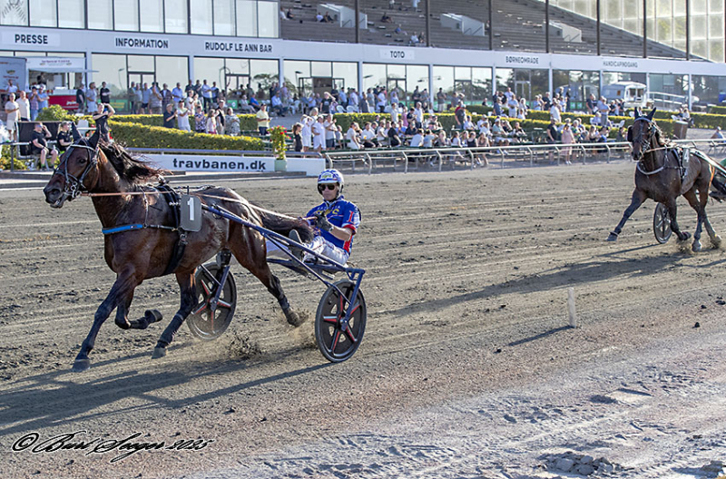 KREADLYS LEW S2 7354