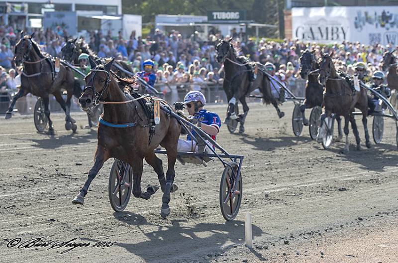 KREADLYS LEW S2 8980