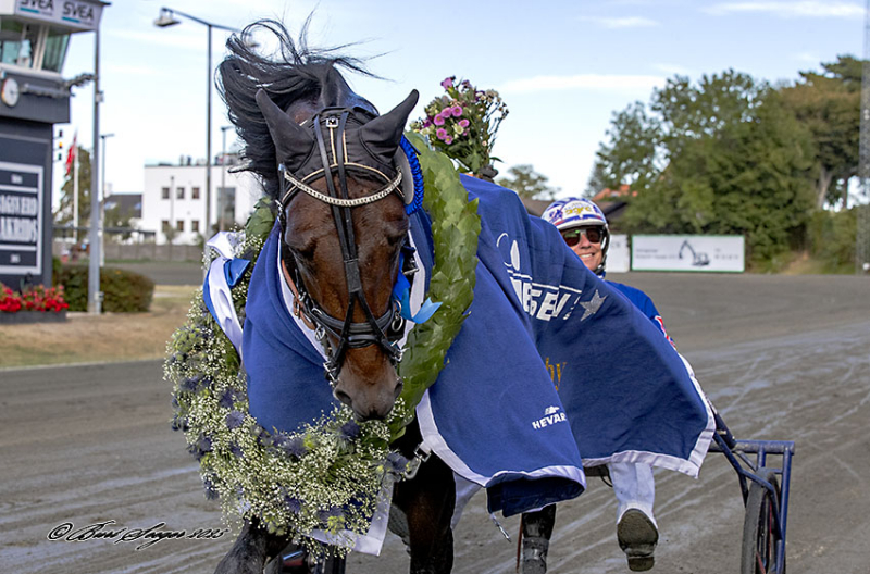 KREADLYS LEW S2 9012