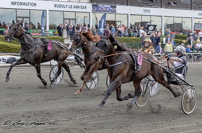 KRYPTONITE ZON S2 8034