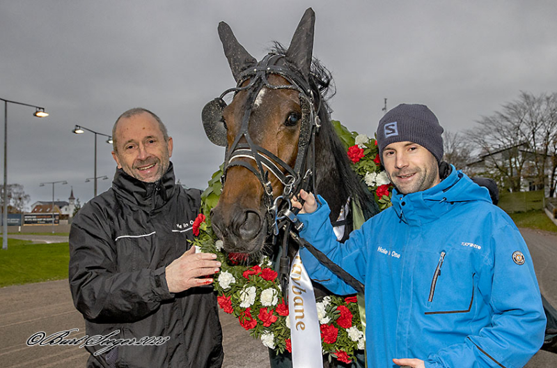 KUNGFUFIGHTING D2I0953 1