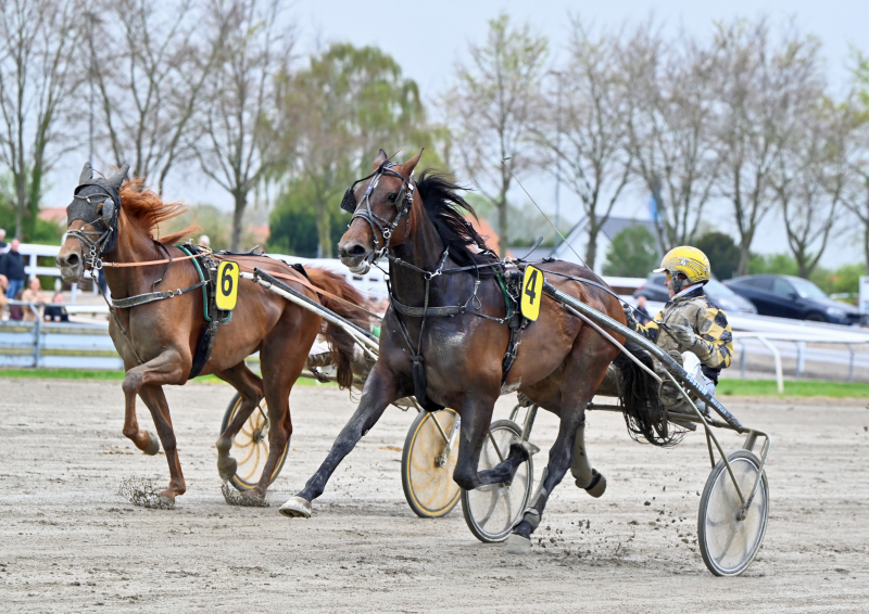 Odense - Sådan gik det KUNG_FU_DOT_COM_DSC_2511