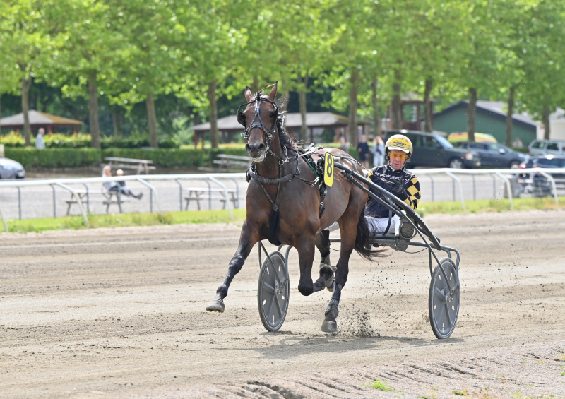 Jægersro - Sejr til Kung Fu Dot Com KUNG_FU_DOT_COM_DSC_9927