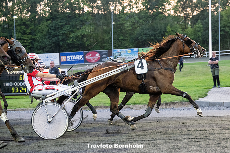 Kaasgaard med Mads Petersen 9 september 2025 Fotograf Torben Ager Travfoto Bornholm TKA 0793