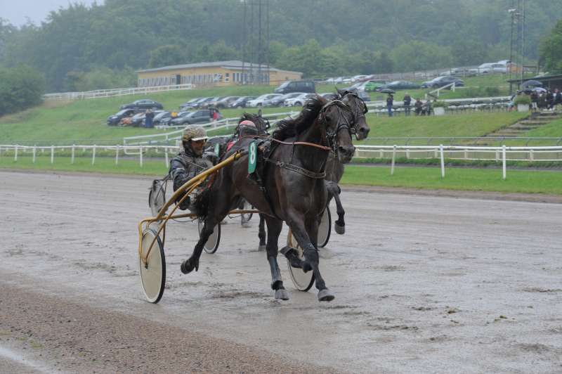 KallesKrisbeNutz 6616