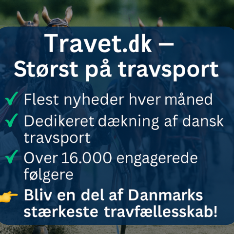 Kampagnebanner i stoe