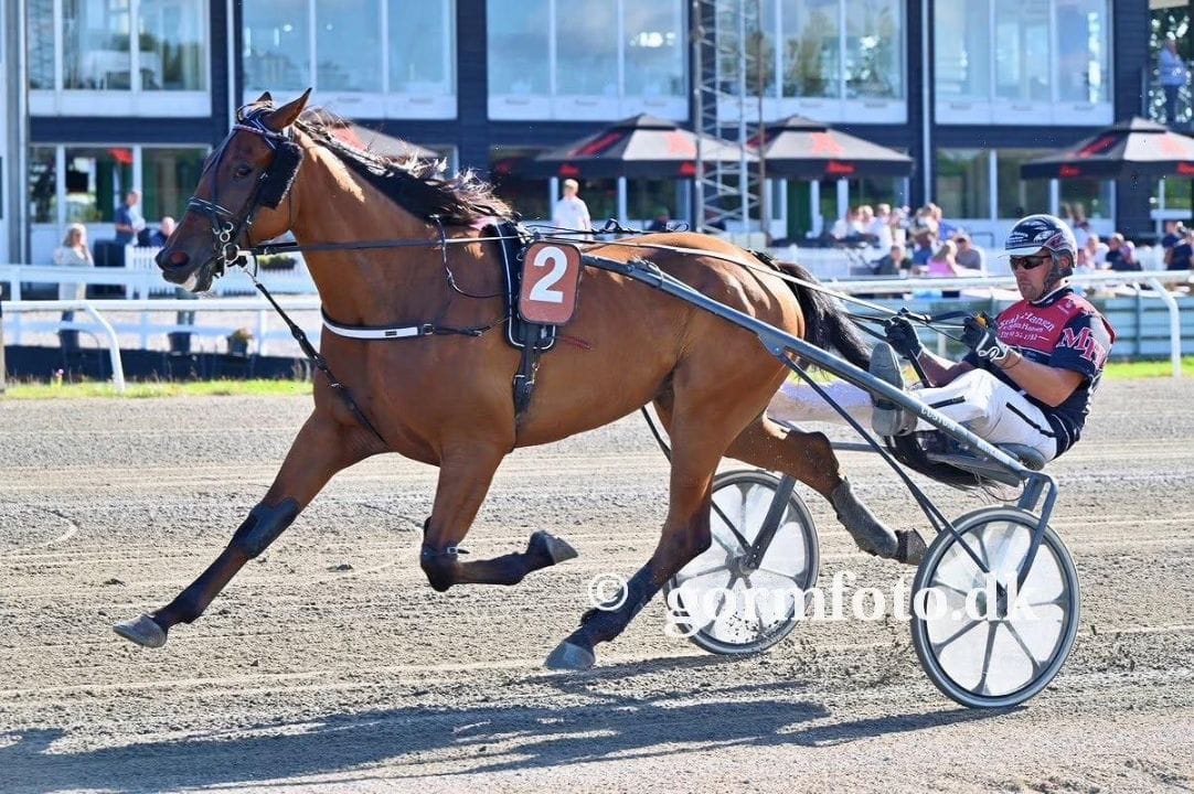 Hurtigt salg af Kansas Line Kansas