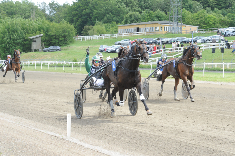 Flot trænerarbejde af Mathias Kasino_2309