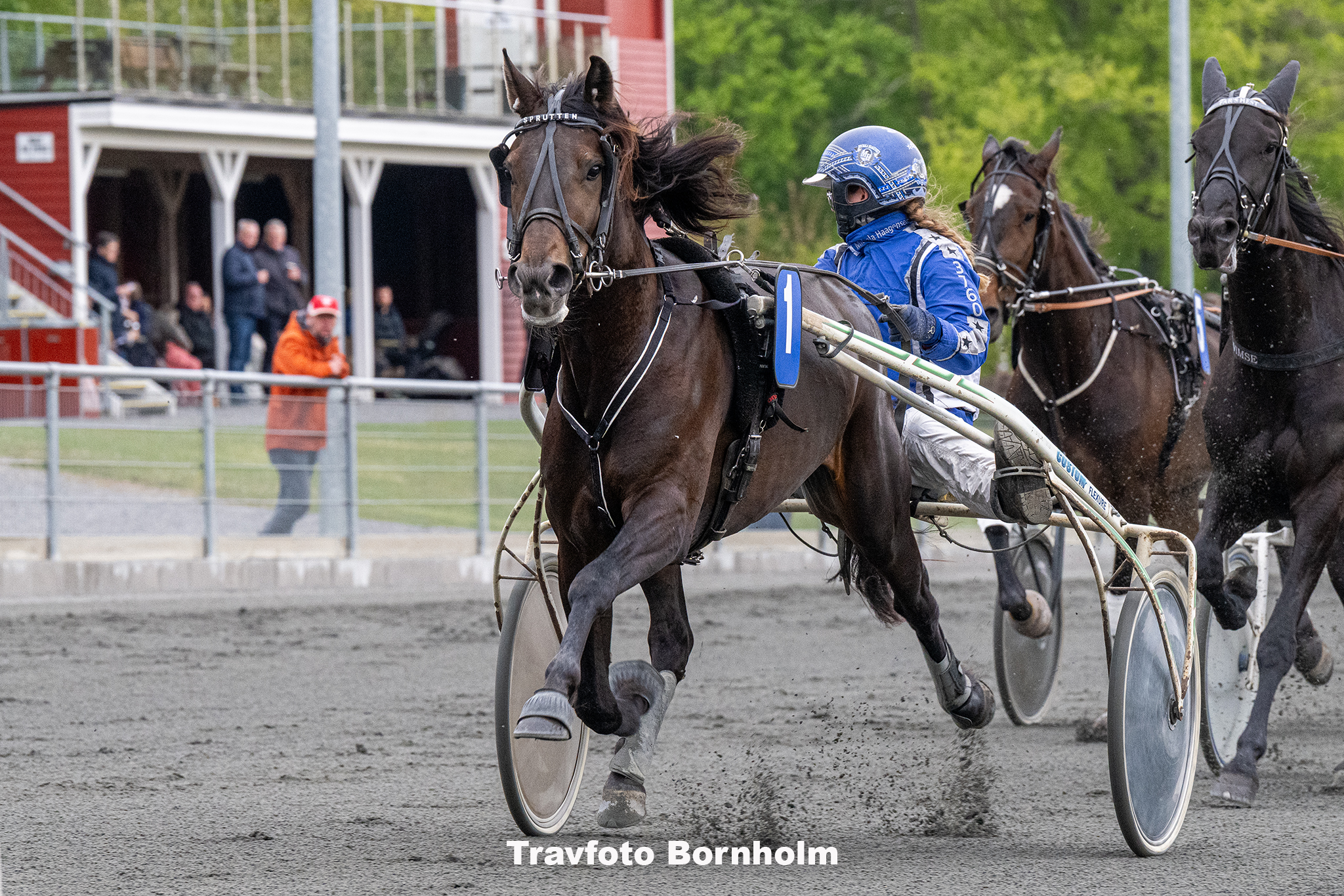 Kentucky Booze med Michala Haagensen 17 maj 2025 Fotograf Torben Ager Travfoto Bornholm TKA 9438