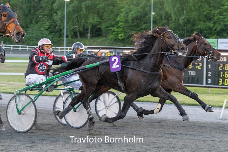 Kentucky Booze med John Gommans 26 maJ 2026 Fotograf Torben Ager Travfoto Bornholm TKA 4417