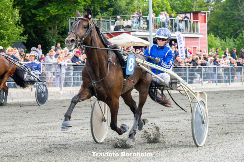 Kort nyt Kentucky_Booze_med_Michala_Haagensen_22_juli_2025_Fotograf_Torben_Ager_Travfoto_Bornholm_TKA_6379