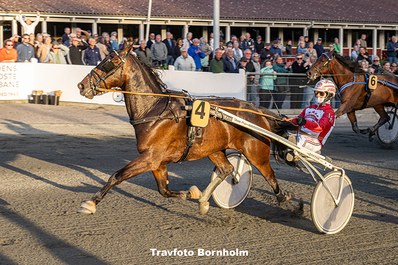 Kissed By Rain med Mads Petersen 5 august 2025 Fotograf Torben Ager Travfoto Bornholm TKA 8407