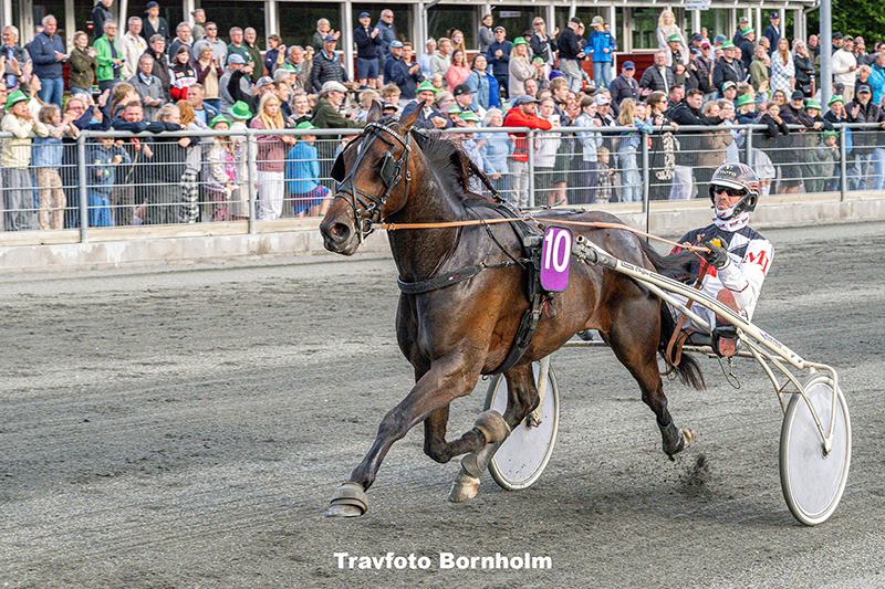 Kissed By Rain med Michael Loenborg 16 juli 2025 Fotograf Torben Ager Travfoto Bornholm TKA 6122