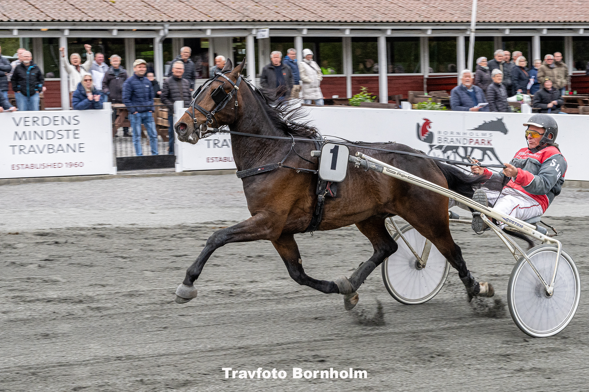 Kissed By Rain med Stefan Lind holm 10 maj 2025 Fotograf Torben Ager Travfoto Bornholm TKA 8983