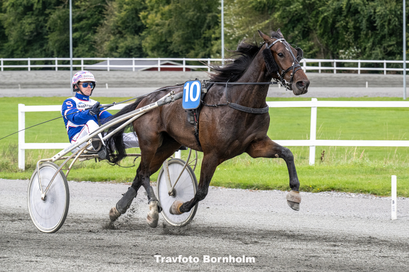 Kissed By Rain med Niclas Steinlain 28 september 2025 Fotograf Torben Ager Travfoto Bornholm TKA 1715