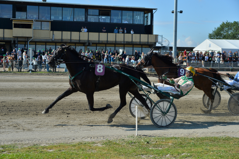 Kollund M bler 250713