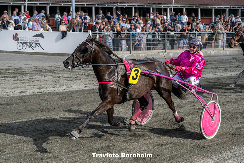 Kool Osiris med Betina Lund 8 juli 2025 Fotograf Torben Ager Travfoto Bornholm TKA 5211