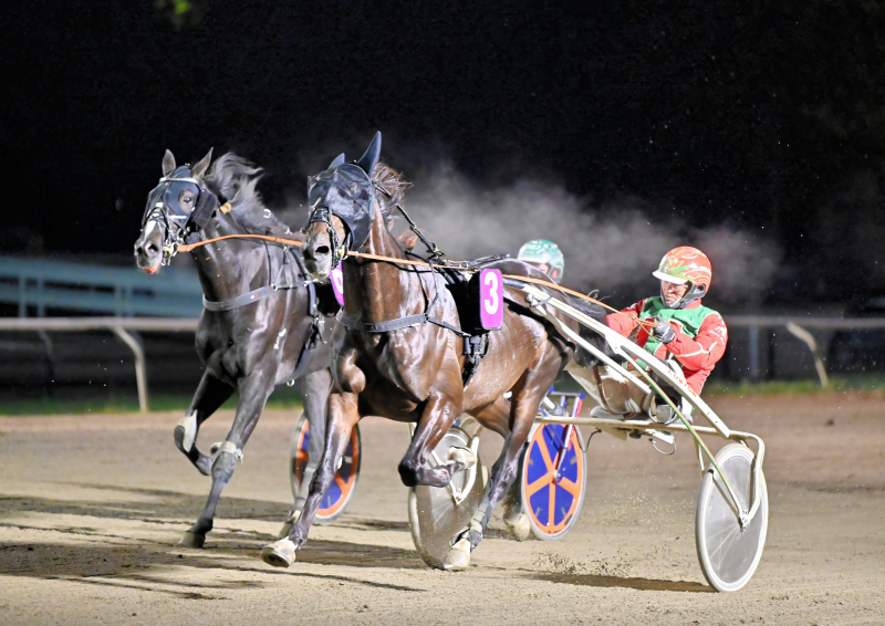 Kort nyt fra ind- og udland LEADER_WOOD_DSC_2144