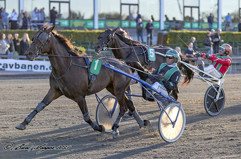 LEGENDEN C N S2 0065