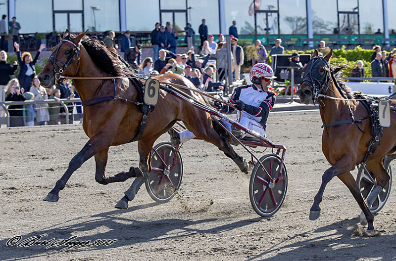 Team Lunden med perfekt start på året LEICESTER_MGL4162