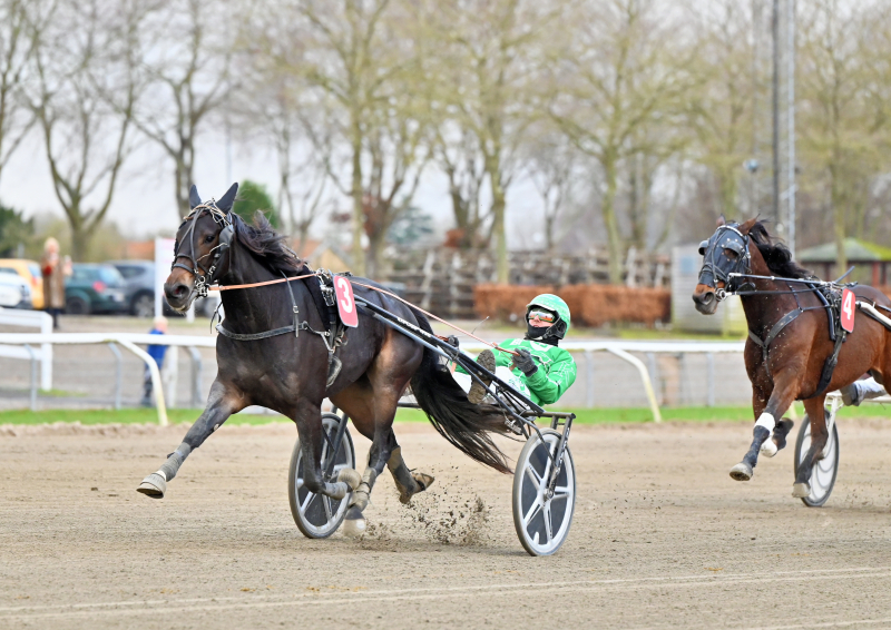 LIGOOGOO KEKA DSC 5901