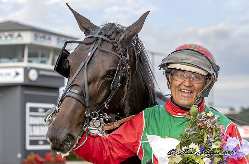 LIMERICK DOWNS S2 9511