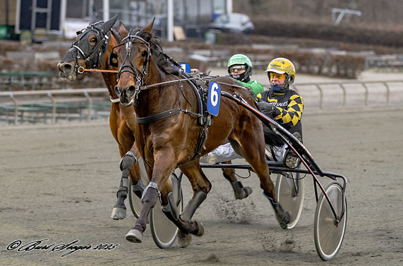 Kort nyt fra ind- og udland LINUS_SHADOW_S2_4387