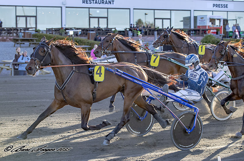 De går videre til Dansk Hoppe Kriterium LIPA_WEE_S2_0002