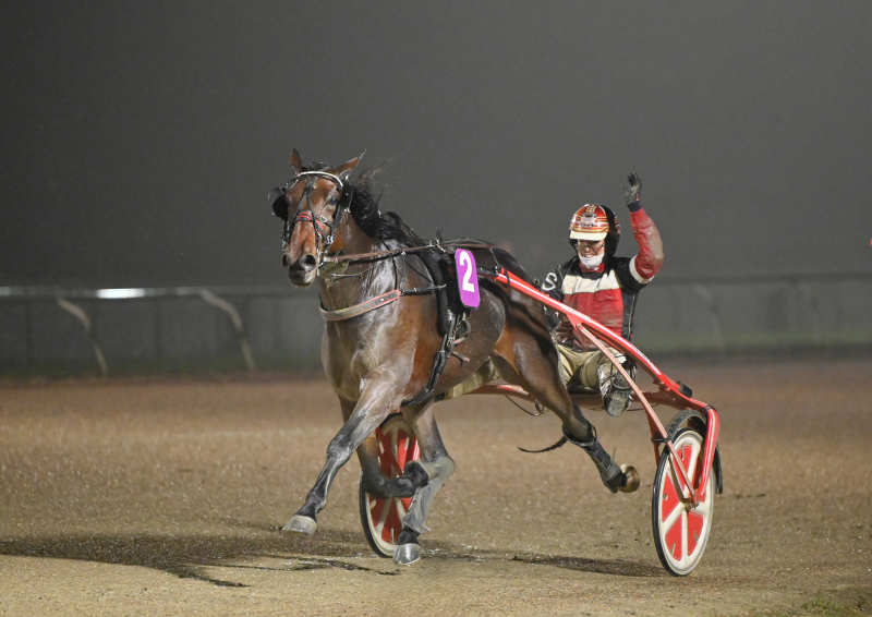 Kort nyt fra ind- og udland LIVI_PLATINI_H_M_DSC_5561