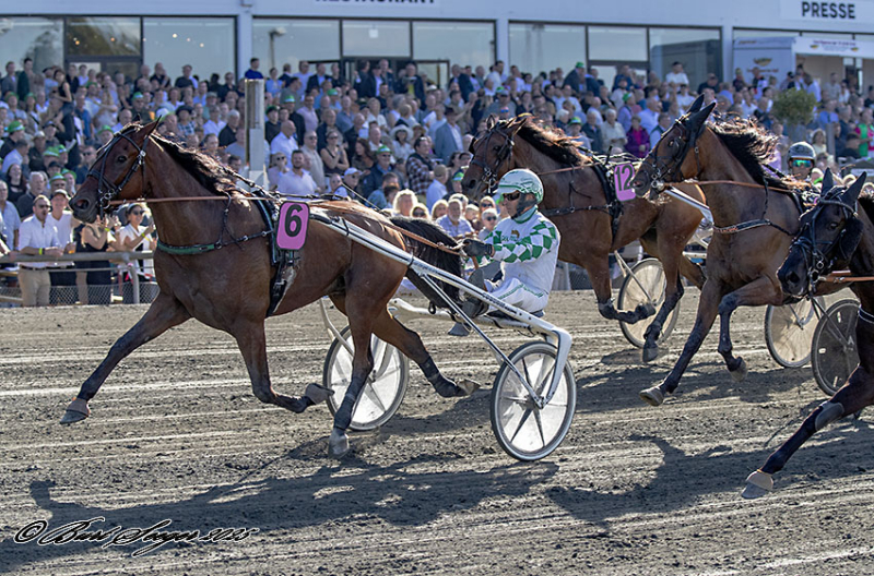 LOOKERBIE DIAMOND S2 8911