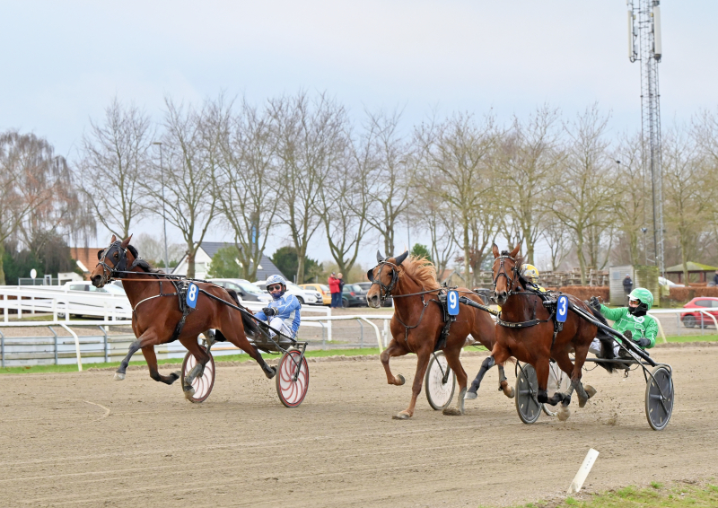 LUCID FLAME DSC 5848