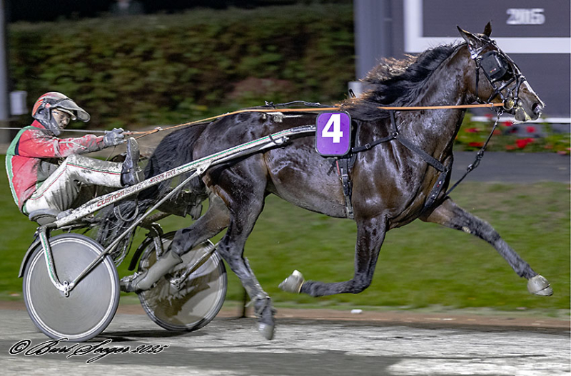 Kort nyt fra ind- og udland LUCKY_MOM_S2_2046