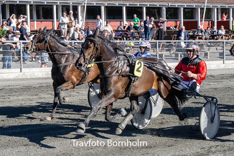 La La Cash med henrik Ipsen 23 juni 2026 Fotograf Torben Ager Travfoto Bornholm TKA 6857