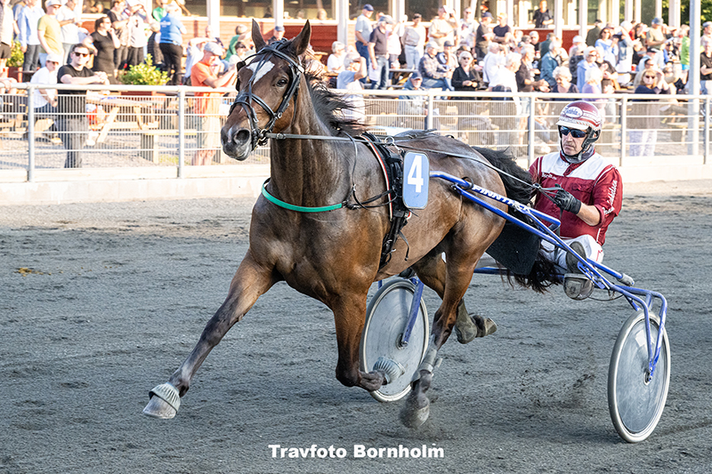 Lau Silk med Frank Mikkelsen 9 september 2025 Fotograf Torben Ager Travfoto Bornholm TKA 0660