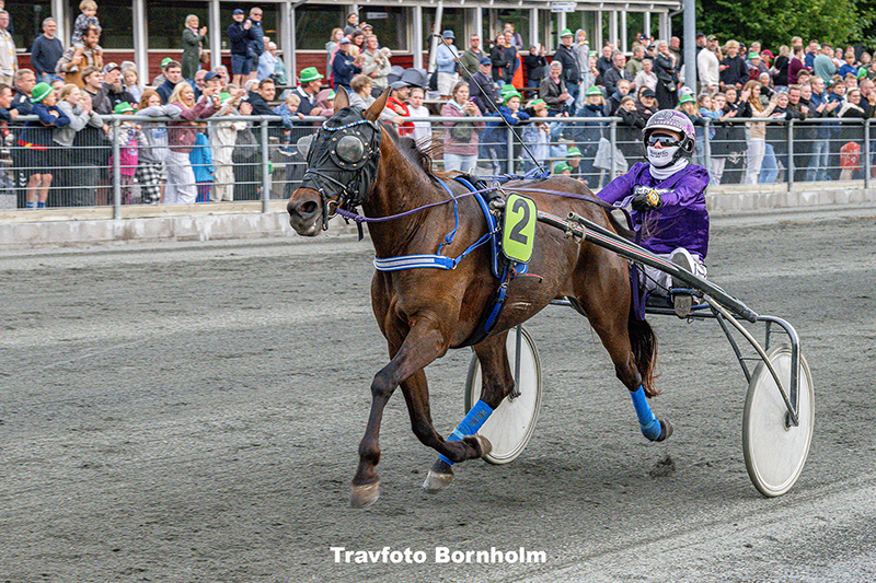 Livi Kindly med Filuca Wermelin Larsen 16 juli 2025 Fotograf Torben Ager Travfoto Bornholm TKA 6155