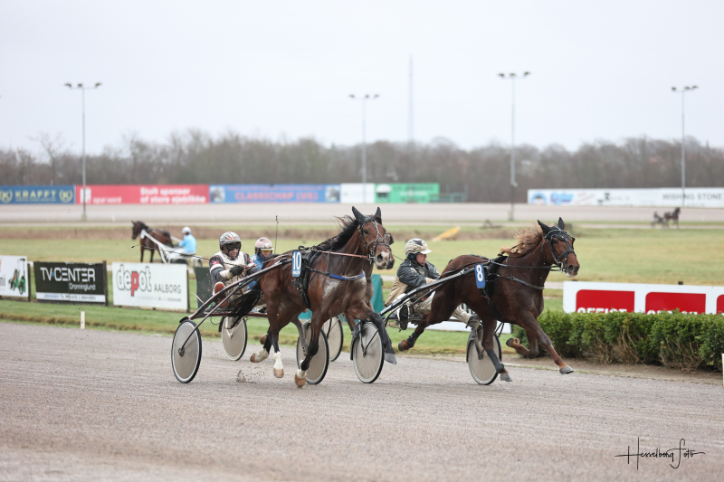 LoveMeTenderDay 7396