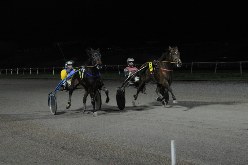Sådan gik det i Aarhus LovingLaser_5610