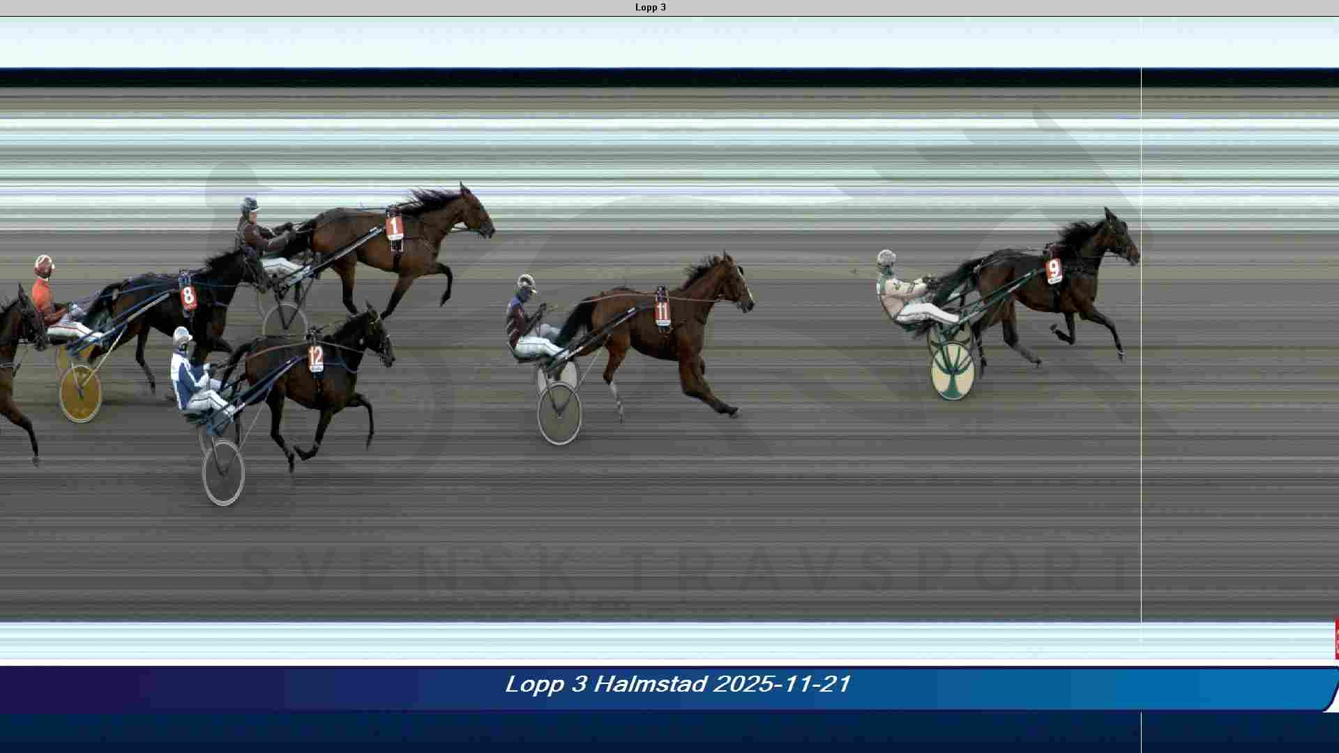 Sådan gik det danskerne på Halmstad LuckyLove-251121