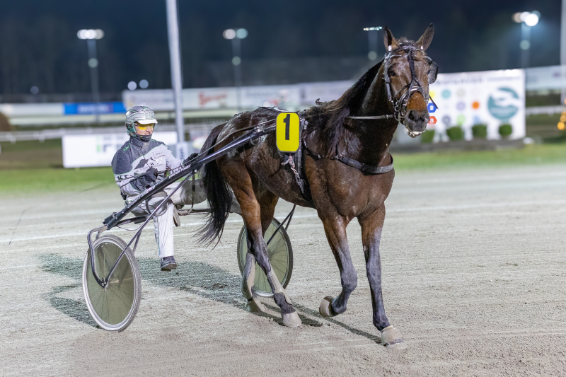 Sådan er det gået på BioCirc Trav Arena Skive MADDOX_2