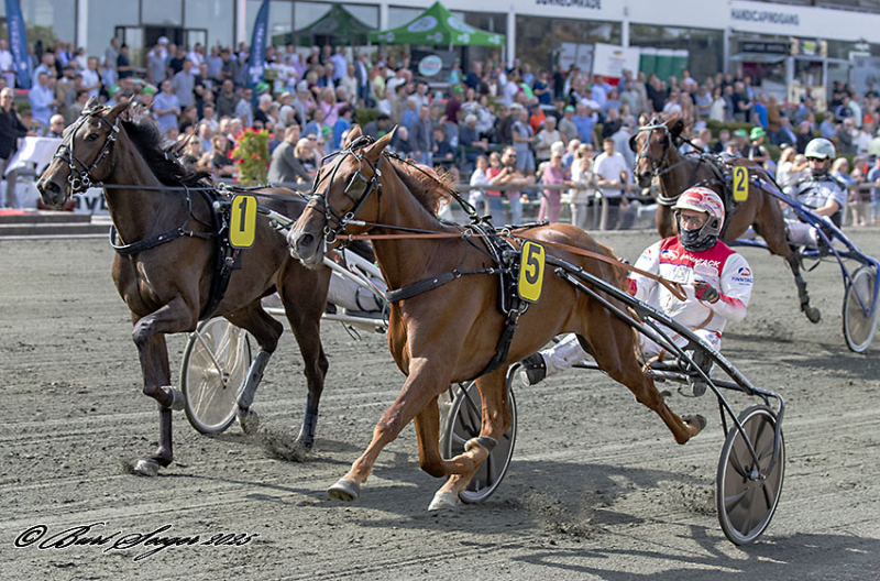 MAKEMEMONI M S S2 8112